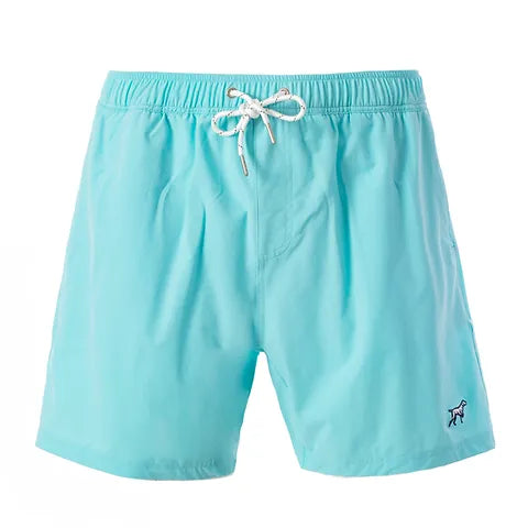Mint Hydro Shorts